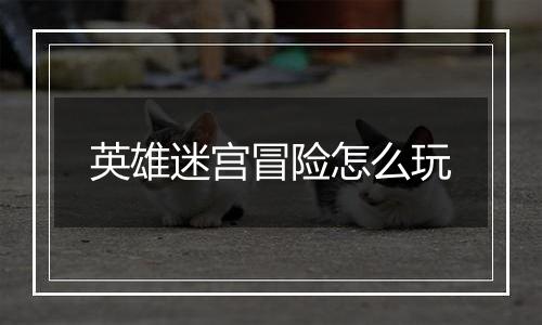 英雄迷宫冒险怎么玩