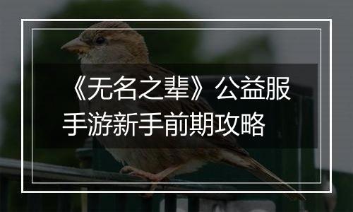 《无名之辈》公益服手游新手前期攻略