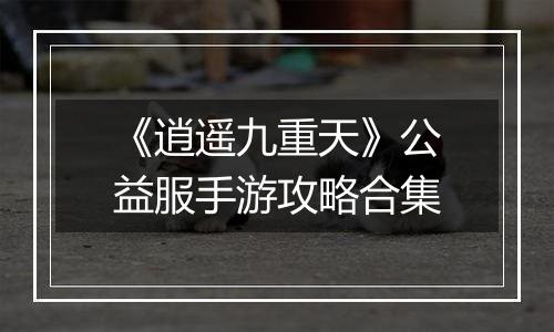 《逍遥九重天》公益服手游攻略合集