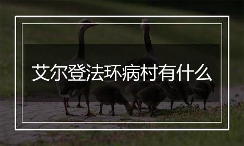 艾尔登法环病村有什么