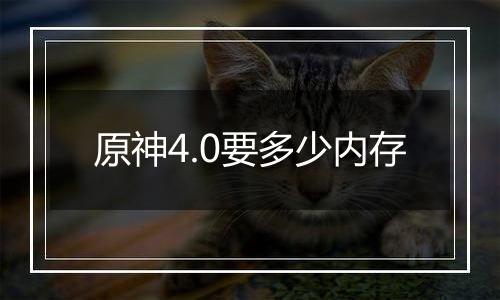 原神4.0要多少内存