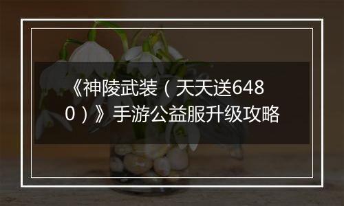 《神陵武装（天天送6480）》手游公益服升级攻略