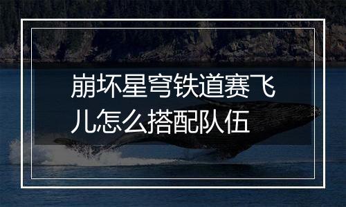 崩坏星穹铁道赛飞儿怎么搭配队伍