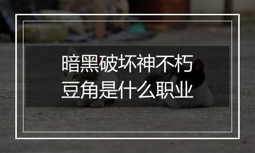 暗黑破坏神不朽豆角是什么职业