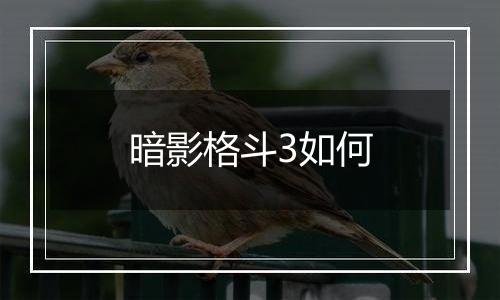 暗影格斗3如何