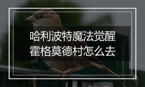 哈利波特魔法觉醒霍格莫德村怎么去