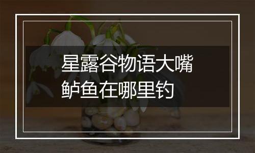 星露谷物语大嘴鲈鱼在哪里钓