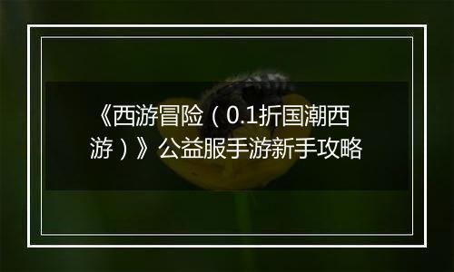 《西游冒险（0.1折国潮西游）》公益服手游新手攻略