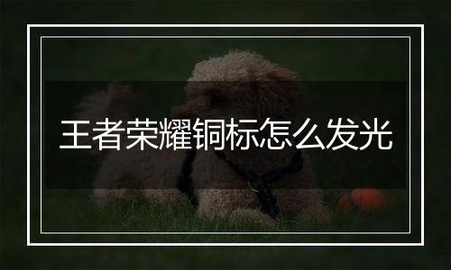 王者荣耀铜标怎么发光