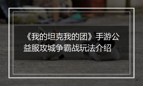 《我的坦克我的团》手游公益服攻城争霸战玩法介绍