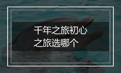 千年之旅初心之旅选哪个