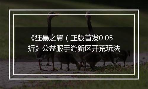 《狂暴之翼（正版首发0.05折》公益服手游新区开荒玩法