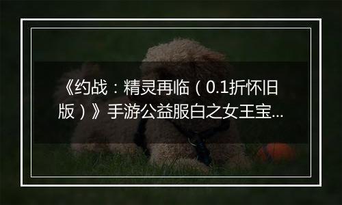 《约战：精灵再临（0.1折怀旧版）》手游公益服白之女王宝石信物篇