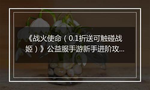 《战火使命（0.1折送可触碰战姬）》公益服手游新手进阶攻略