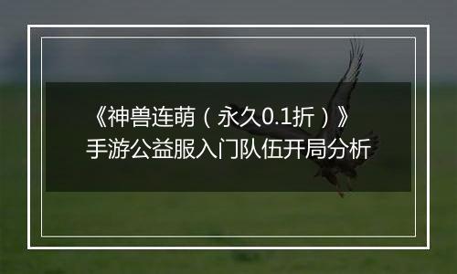 《神兽连萌(永久0.1折)》手游公益服入门队伍开局分析