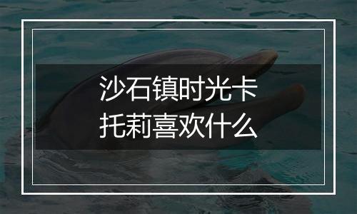 沙石镇时光卡托莉喜欢什么