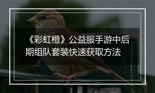 《彩虹橙》公益服手游中后期组队套装快速获取方法