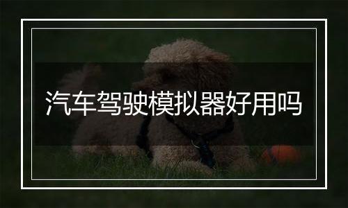 汽车驾驶模拟器好用吗