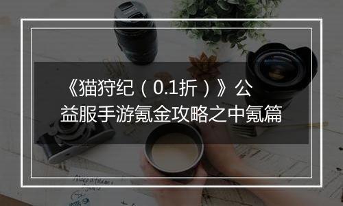 《猫狩纪（0.1折）》公益服手游氪金攻略之中氪篇