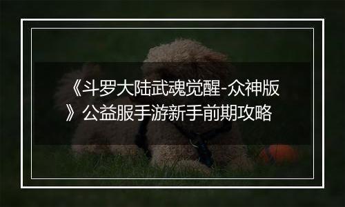 《斗罗大陆武魂觉醒-众神版》公益服手游新手前期攻略