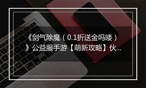《剑气除魔（0.1折送金吗喽）》公益服手游【萌新攻略】伙伴的选择