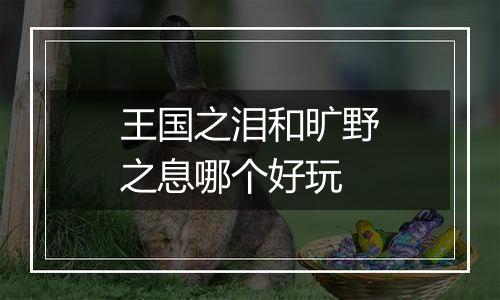 王国之泪和旷野之息哪个好玩