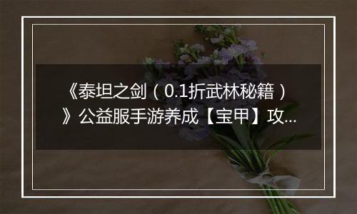 《泰坦之剑（0.1折武林秘籍）》公益服手游养成【宝甲】攻略