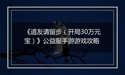 《道友请留步（开局30万元宝）》公益服手游游戏攻略