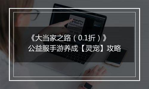 《大当家之路（0.1折）》公益服手游养成【灵宠】攻略