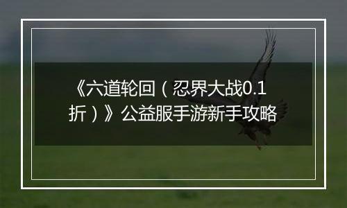 《六道轮回（忍界大战0.1折）》公益服手游新手攻略