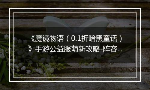 《魔镜物语（0.1折暗黑童话）》手游公益服萌新攻略-阵容篇