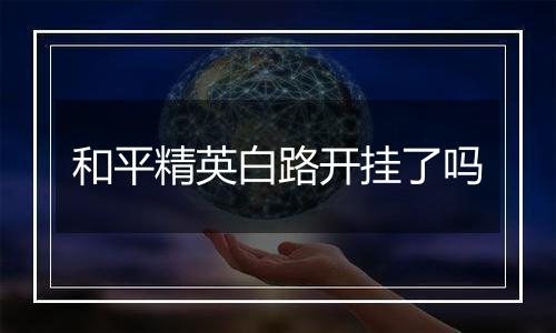 和平精英白路开挂了吗