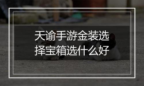 天谕手游金装选择宝箱选什么好