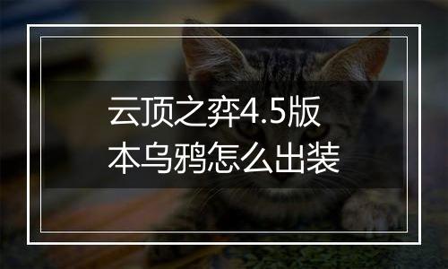 云顶之弈4.5版本乌鸦怎么出装