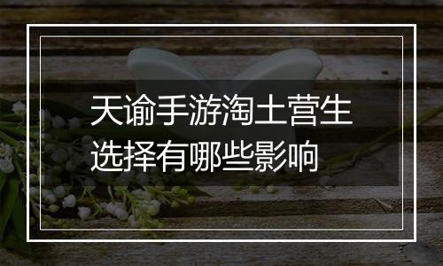 天谕手游淘土营生选择有哪些影响