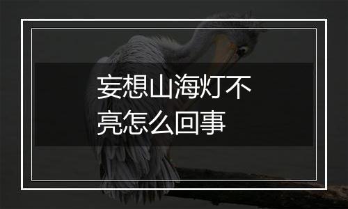 妄想山海灯不亮怎么回事