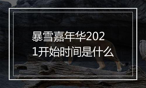 暴雪嘉年华2021开始时间是什么
