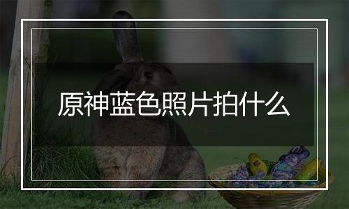 原神蓝色照片拍什么