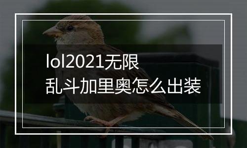 lol2021无限乱斗加里奥怎么出装