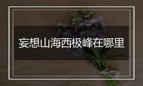 妄想山海西极峰在哪里