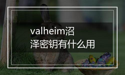valheim沼泽密钥有什么用