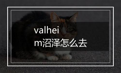 valheim沼泽怎么去
