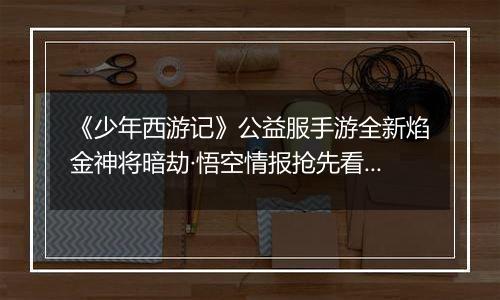 《少年西游记》公益服手游全新焰金神将暗劫·悟空情报抢先看！