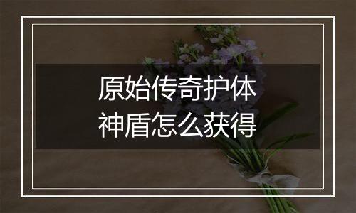 原始传奇护体神盾怎么获得