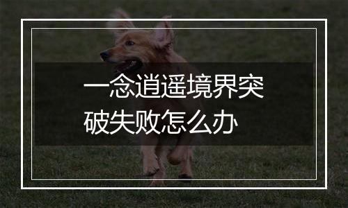 一念逍遥境界突破失败怎么办