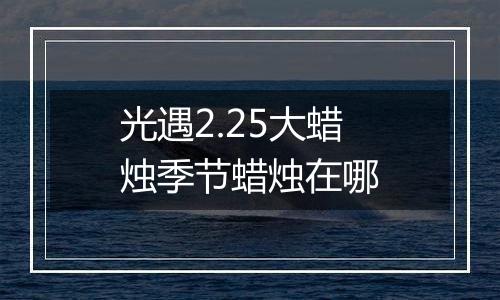 光遇2.25大蜡烛季节蜡烛在哪
