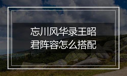 忘川风华录王昭君阵容怎么搭配