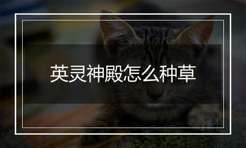 英灵神殿怎么种草