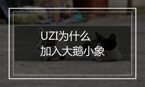UZI为什么加入大鹅小象