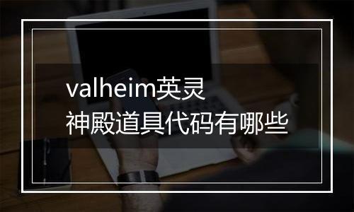 valheim英灵神殿道具代码有哪些